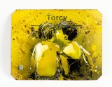 Premier baiser Torcy
